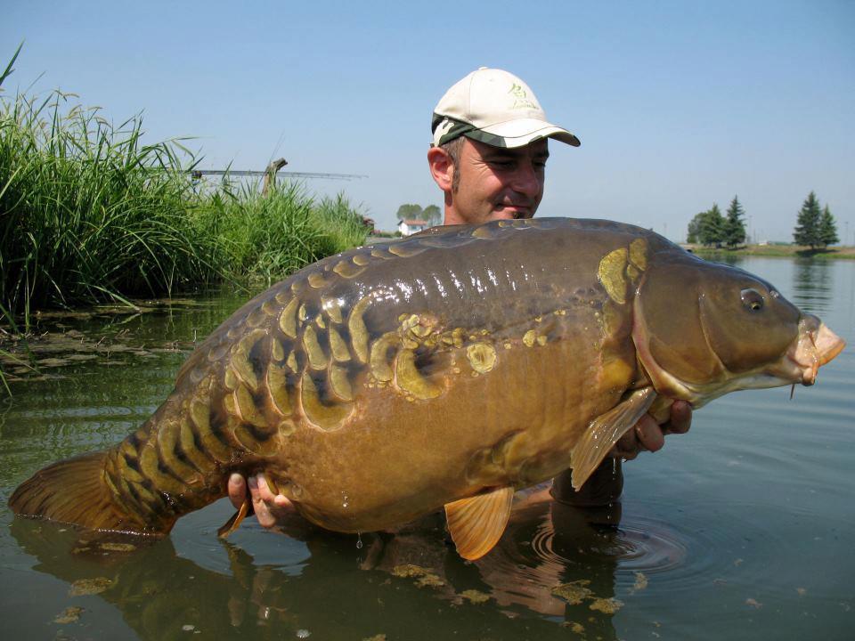 crapi mari - 629002805761387379901930293434n.jpg